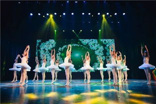 歌唱祖國 童心飛揚(yáng)——少兒文藝演出圓滿落幕